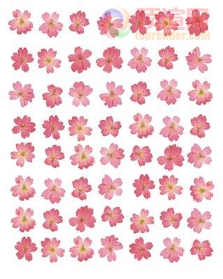 38.6x48.4cm188-125180.jpg