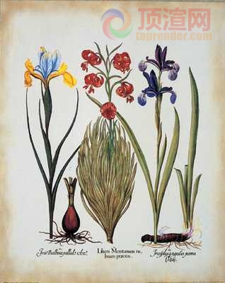 38.6x48.4cm376-127348.jpg