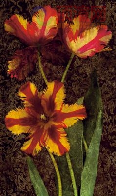 38.6x67.4cm590-128206.jpg
