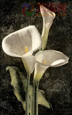 38.6x67.4cm590-128210.jpg