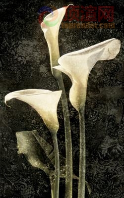 38.6x67.4cm590-128211.jpg