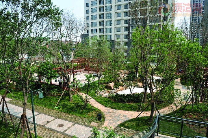 103.jpg