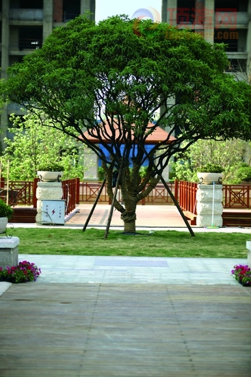208.jpg