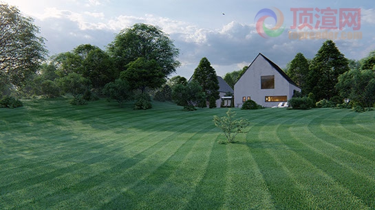 customizable 3d grass545x307.jpg