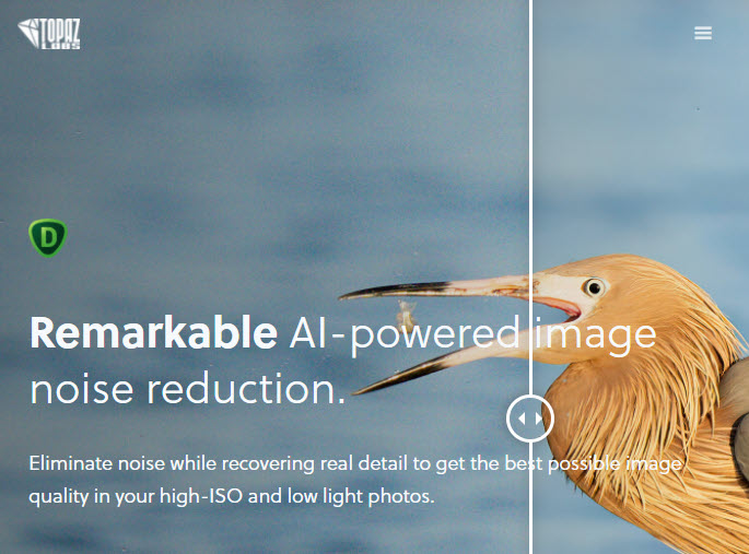 Topaz DeNoise AI 3.3.0