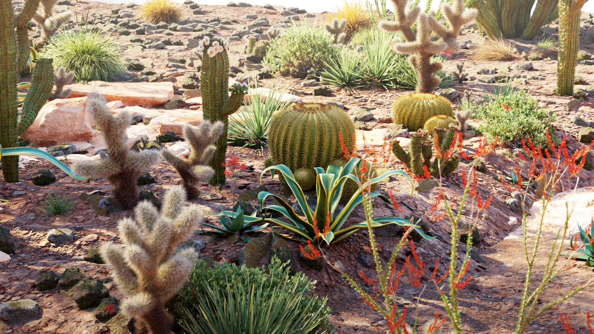 Globe Plants Bundle 27
