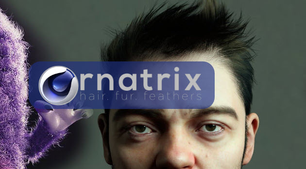 Ornatrix 2.2.9.29361 for Cinema 4D