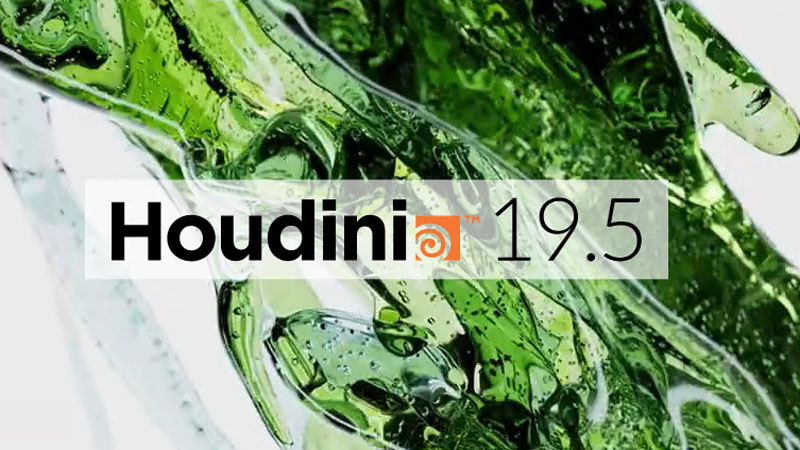 SideFX Houdini 19.5.493