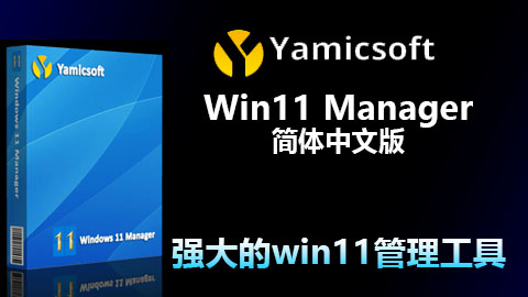 windows 11 manager