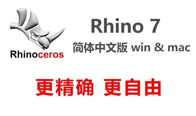 Rhino 7