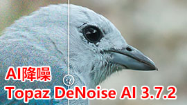 Topaz DeNoise AI 3.7.2 破解版